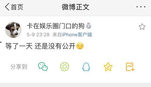 吃瓜段子爆料